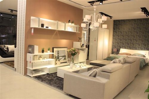 正當興利集團旗下的歐瑞家具為取得天貓"雙11"家具類銷售前十名而歡呼