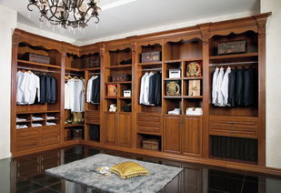 品牌解析 中國整體衣柜之龍年品牌運勢