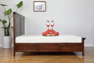 家居源家具產品商業圖片宣傳